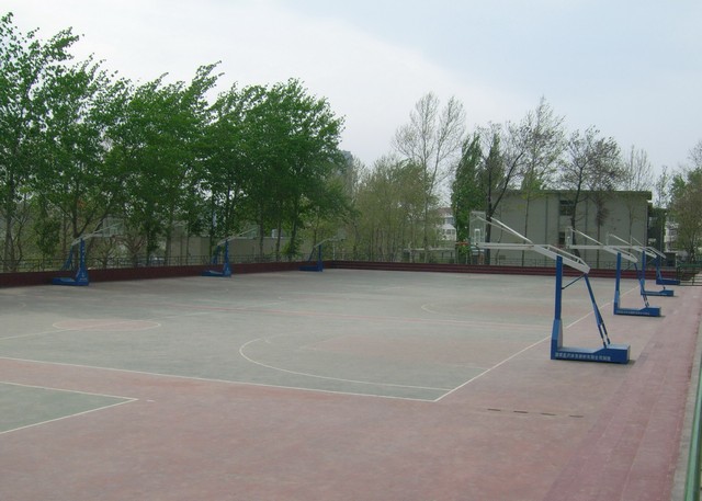 һ400ט˜zܵO(sh)ɱ(yng)ԓǶX