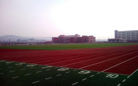 復(fù)合型塑膠跑道圖片